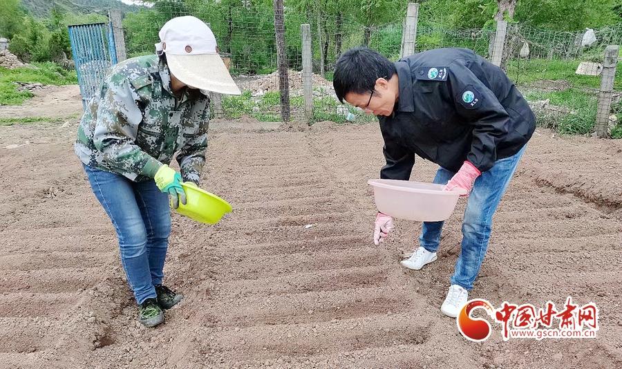 甘肃林场改革最新动态