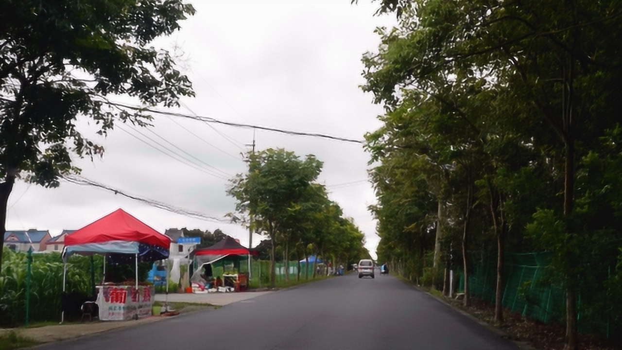 上海川沙六团，时代印记与未来展望的最新消息